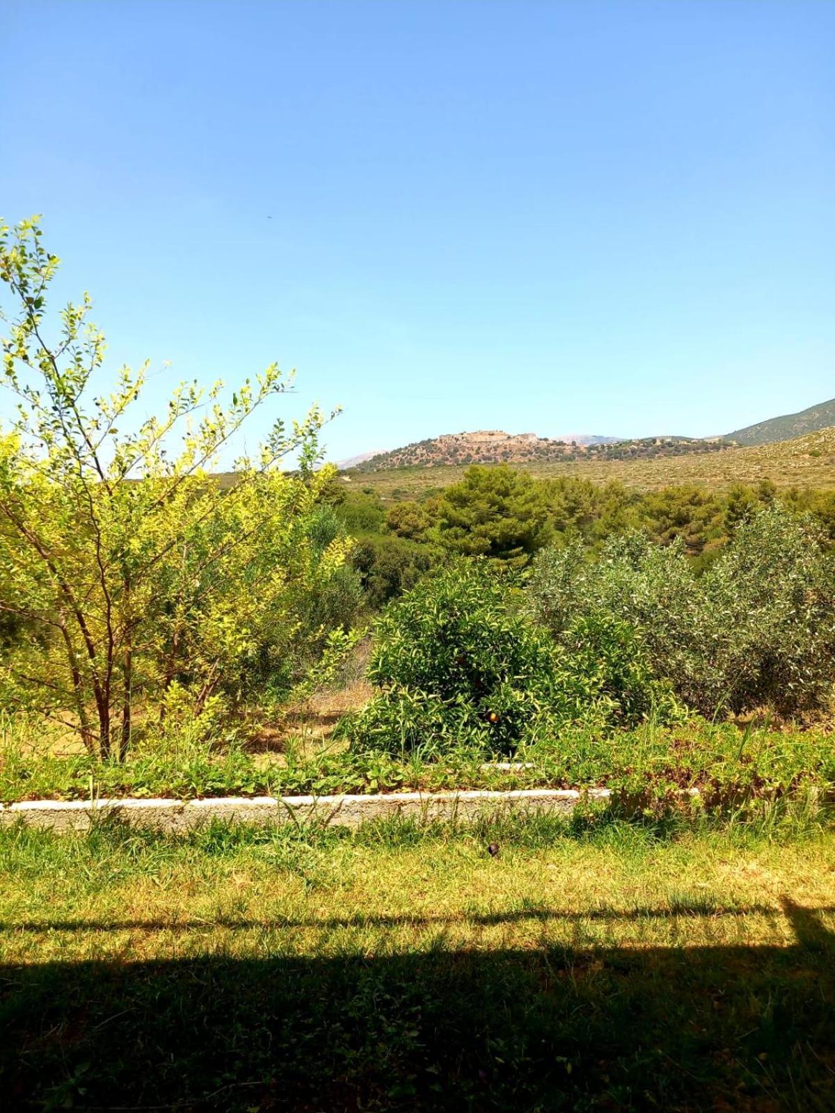 4T Apartments Argostoli  Exterior foto